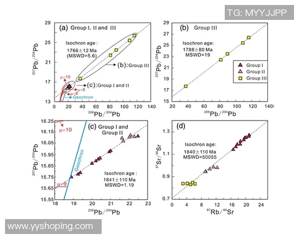 岩塞的形成与演化探讨及其对地质环境的影响分析
