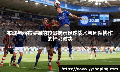 3377体育官方网站